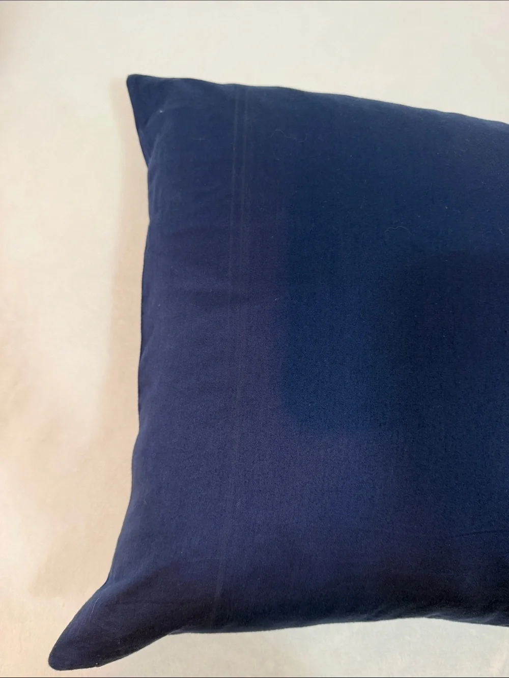 Pottery Barn Medallion Accent Pillow